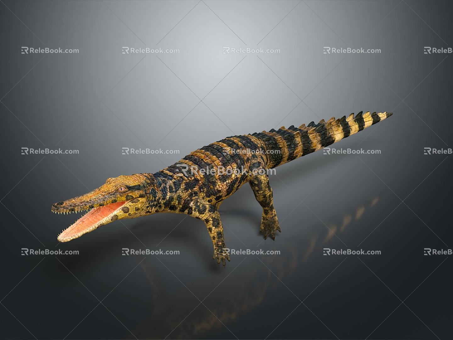 Crocodile Alligator Nile Crocodile carnivore reptile cold-blooded animal reptile reptile 3d model