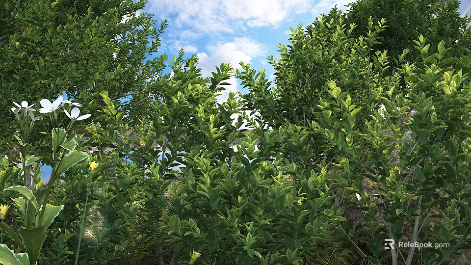 Lush Green Shrubs With Dense Foliage In Outdoor Space Under Sunlight And Blue Sky 3d model 