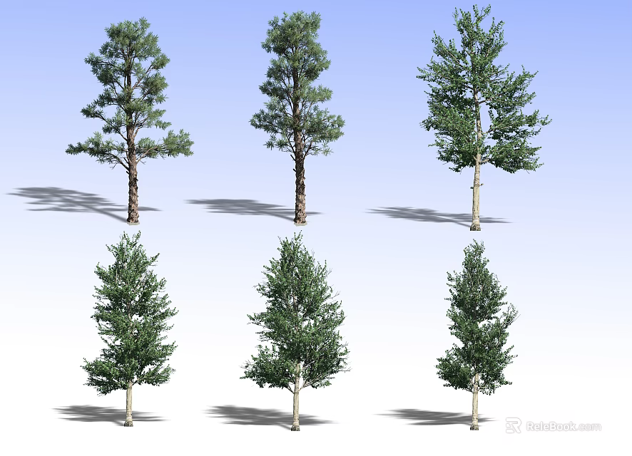 Various Arbor Tree Species Displaying Different Foliage Shapes And Trunk Structures 3d model 