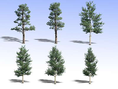 Tree model