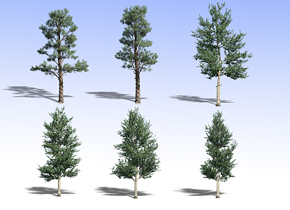 Tree 3d model