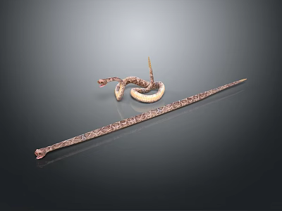 Brown Patterned Snakes Coiled and Long Stretched Body on Dark Gray Background 3d model