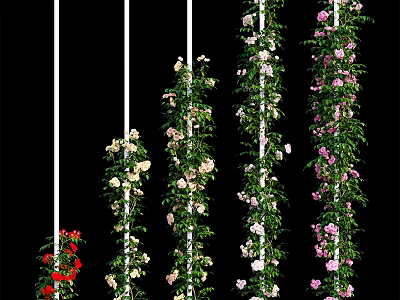 Vibrant Climbing Flowers With Green Vines On White Poles For Vertical Garden Decoration 3d model