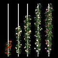 Vibrant Climbing Flowers With Green Vines On White Poles For Vertical Garden Decoration