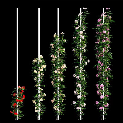 Vibrant Climbing Flowers With Green Vines On White Poles For Vertical Garden Decoration 3d model