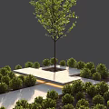 Park Landscape With Square Stone Platform Green Trees And Neat Shrubs Layout 3d model