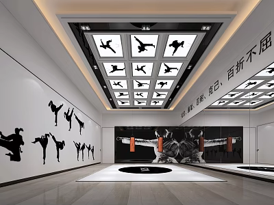 Modern Fitness Training Studio With Sports Silhouette Ceiling And Wall Art Design 3d model