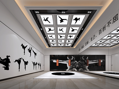 Modern Taekwondo Room 3d model