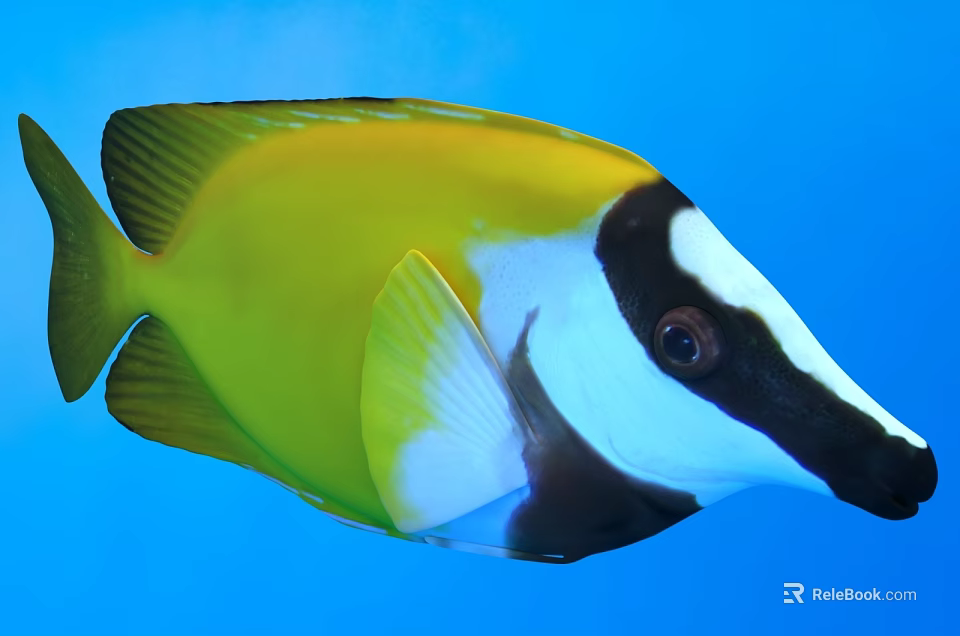 Vibrant Yellow White And Black Fish Swimming With Colorful Fins In Blue Water 3d model 