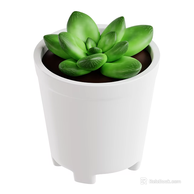 Green Leaf Succulent Plant in White Pot with Small Feet at the Bottom 3d model 