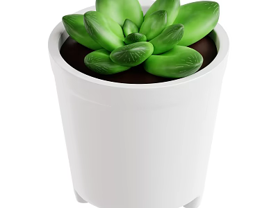 Green Leaf Succulent Plant in White Pot with Small Feet at the Bottom 3d model