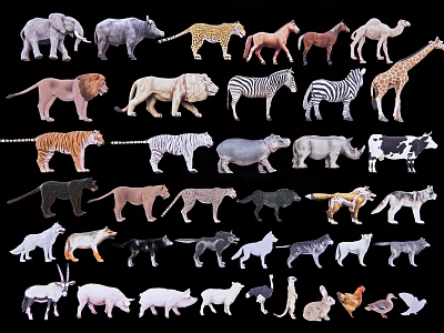 Various Reptile Species Including Snakes Lizards And Tortoises In Wildlife 3d model