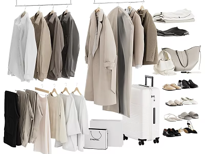 Various Style Clothes With Matching Bags Shoes And Suitcase 3d model