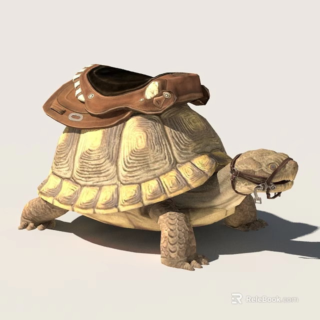 Tortoise Carrying Brown Leather Saddle And Bridle On Its Shell 3d model 