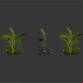 Green Leafy Decorative Potted Plants With Floral Accents And Stylish Planters