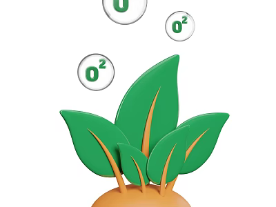 Vibrant Green Leafy Plant With Lush Fresh Leaves Releasing Oxygen Bubbles 3d model
