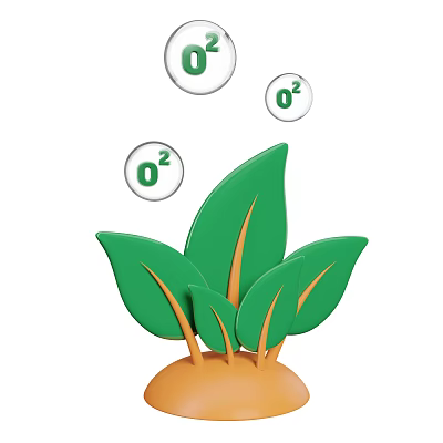 Vibrant Green Leafy Plant With Lush Fresh Leaves Releasing Oxygen Bubbles 3d model