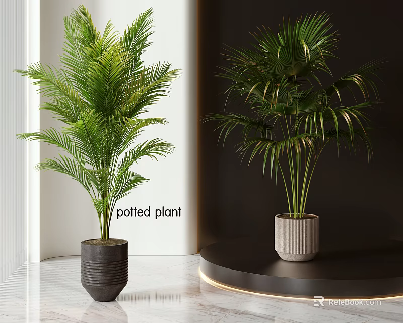 Indoor Tropical Palm Potted Plants With Green Foliage In Decorative Pots For Modern Interior 3d model 