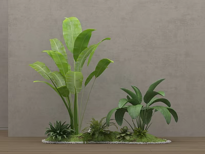 Natural Indoor Floral Display With Large Green Plants Small Shrubs And Pebbles On Wooden Floor 3d model