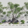 Lush Deciduous Trees with Grey Wall Background Stone Path Rocks Shrubs and Gravel