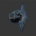 Artistic Fish Sculpture With Teal Color And Mottled Texture On Dark Background