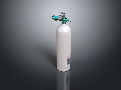Household Essential White Gas Cylinder with Green Silver Valve and Safety Label 3d model
