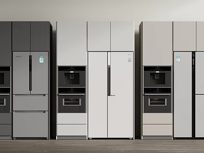 Modern Refrigerators and Freezers in Stylish Side by Side Kitchen 3d model