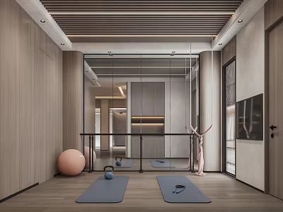 Modern Basement Home Gym With Yoga Mats Fitness Equipment And Mirrors 3d model