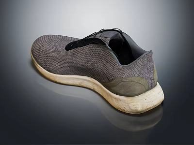Modern Shoes Board Shoes 3d model