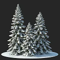 Three Snow Covered Evergreen Trees Standing Tall Against Dark Winter Background 3d model