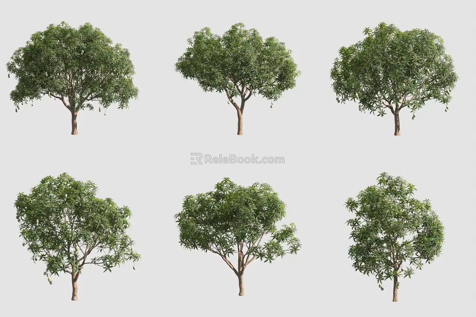 Mango Tree 3d model