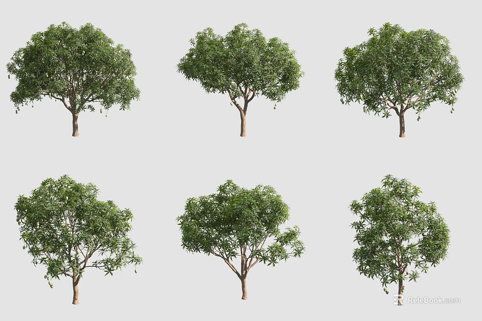Various Arbor Trees With Lush Foliage In Different Forms For Landscape Design 3d model 