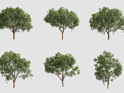 Various Arbor Trees With Lush Foliage In Different Forms For Landscape Design 3d model