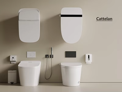 Modern White Cattelan Toilets with Wall Mounted Fixtures and Accessories 3d model
