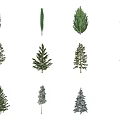 The Modern Tree 3d model