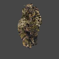 Natural Coral Reef Decor With Rocky Base And Mossy Surface Branches