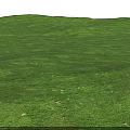 Lush Green Flowering Meadow Natural View With Rolling Terrain And Tiny White Flowers