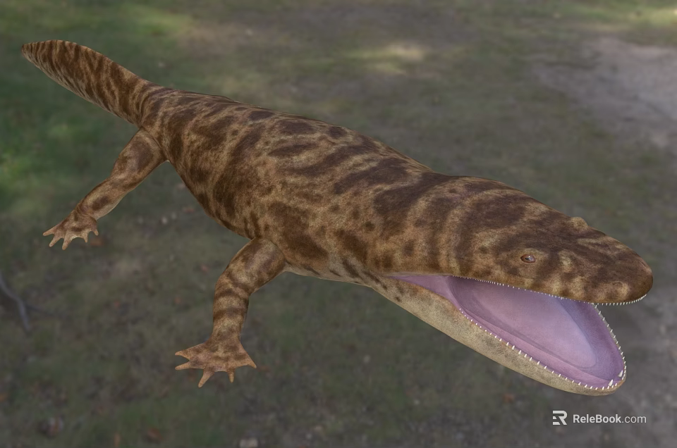 Close Up Of Reptile With Patterned Skin And Open Mouth 3d model 