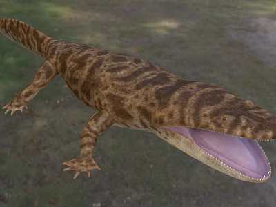 Close Up Of Reptile With Patterned Skin And Open Mouth 3d model