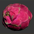Fresh Ripe Pink Dragon Fruit Close Up On Black Background With Reflection