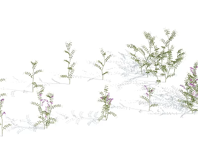 Green Leafy Plants With Purple Flowers Growing In Natural Garden Setting 3d model