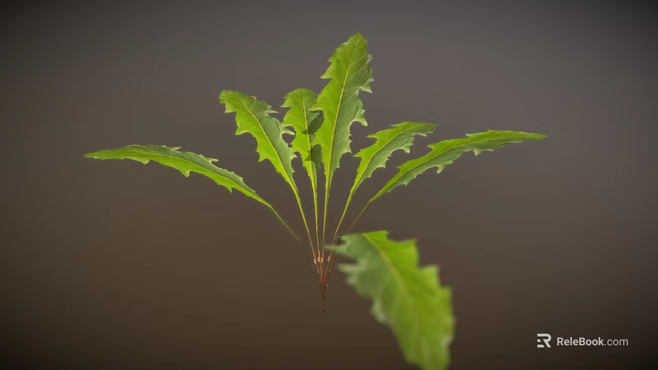Fresh Vibrant Green Plant With Long Serrated Leaves Against Dark Background 3d model 