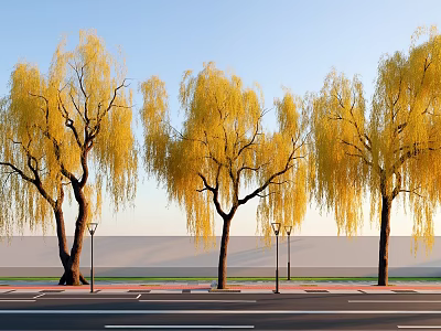 Weeping Willows With Yellow Leaves Along Roadside Blue Sky White Wall Street Lamps And Sidewalk 3d model