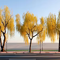 Weeping Willows With Yellow Leaves Along Roadside Blue Sky White Wall Street Lamps And Sidewalk