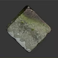 Wooden Stone Natural Raw Block With Green Brown White Color And Texture