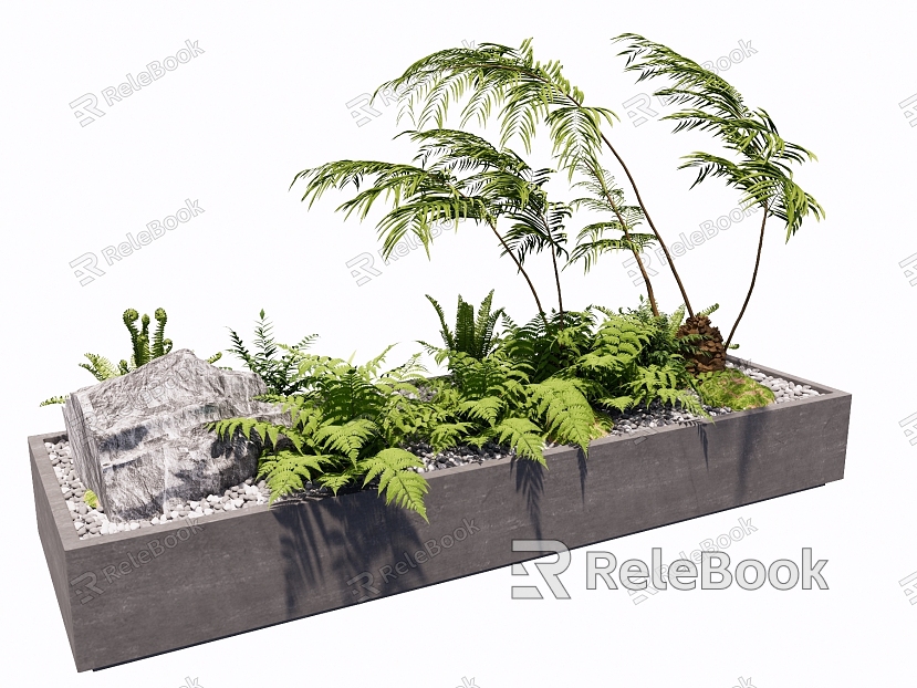 Pteridophyte Landscape Plant Bonsai Moss Kidney Fern Apple Fern Landscape Grass Landscape Gravel Ecological Landscape Pool Foxtail Asparagus model