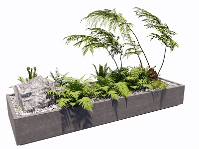 Pteridophyte Landscape Plant Bonsai Moss Kidney Fern Apple Fern Landscape Grass Landscape Gravel Ecological Landscape Pool Foxtail Asparagus 3d model