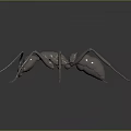 Metallic Ant With Detailed Legs And Body Structure On Dark Background