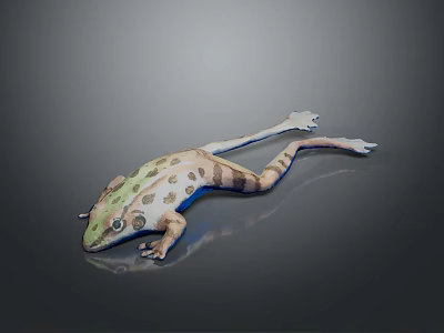 Green And Brown Spotted Frog 3D Model With Stretched Body On Smooth Surface 3d model