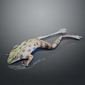 Green And Brown Spotted Frog 3D Model With Stretched Body On Smooth Surface